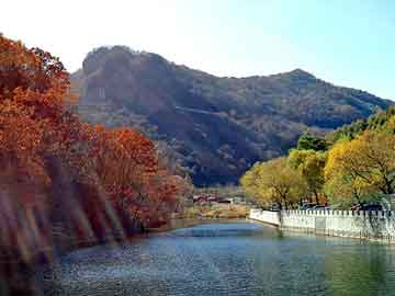 澳门红姐论坛精准两码300期，龙岗装饰